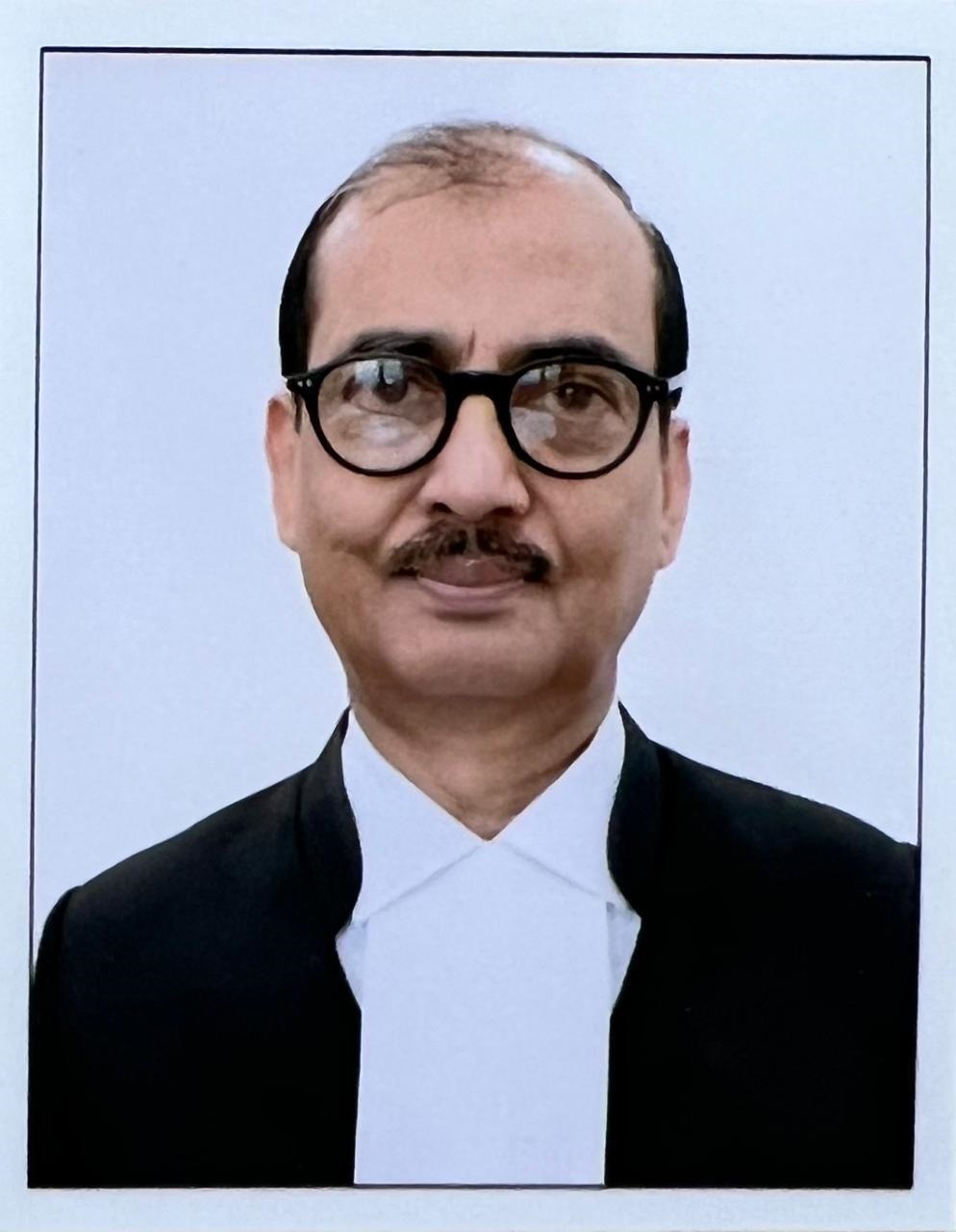 Judge